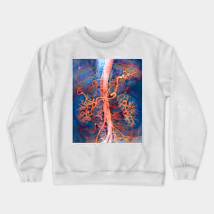 Abdominal arteries, X-ray (P206/0309) Crewneck Sweatshirt